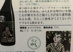 alt 3