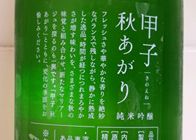 甲子 チェックイン 3