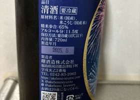 alt 3