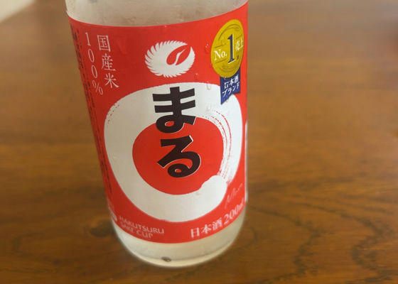 alt 1