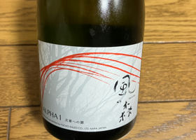 alt 1