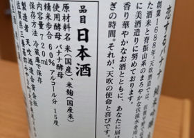 alt 3