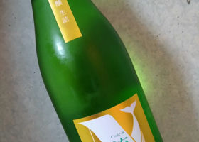 alt 1