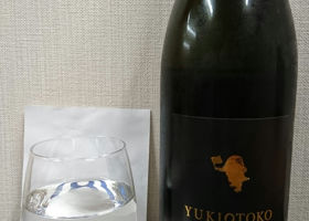 Yukiotoko Check-in 1