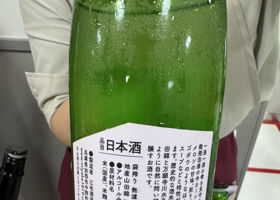 alt 2
