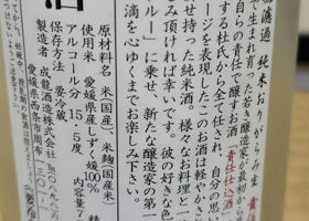 alt 1