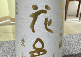 alt 1