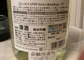 Ocean99 series チェックイン 2