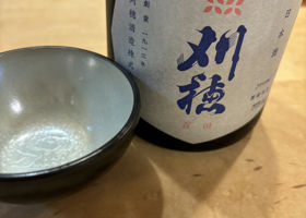 alt 1