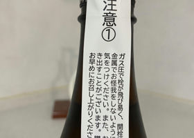 alt 3