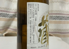alt 1