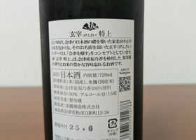 alt 3
