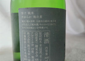 alt 3