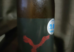 alt 1