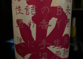 alt 1