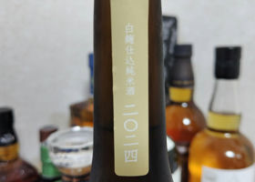 alt 3