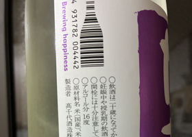 alt 3