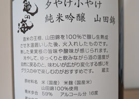 亀の海 チェックイン 2