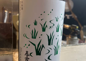 春霞 チェックイン 1