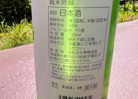 alt 3