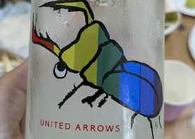alt 1
