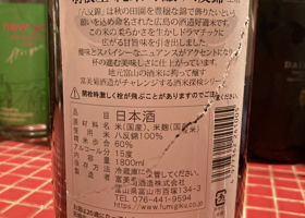 alt 3
