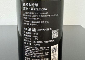 alt 2