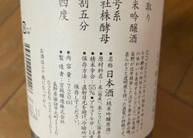 alt 3
