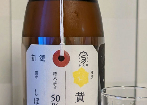 荷札酒　黄水仙