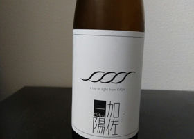 alt 1