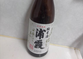 浦霞 チェックイン 1