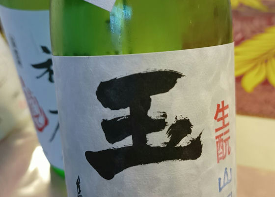 alt 1