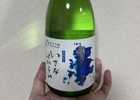 alt 1