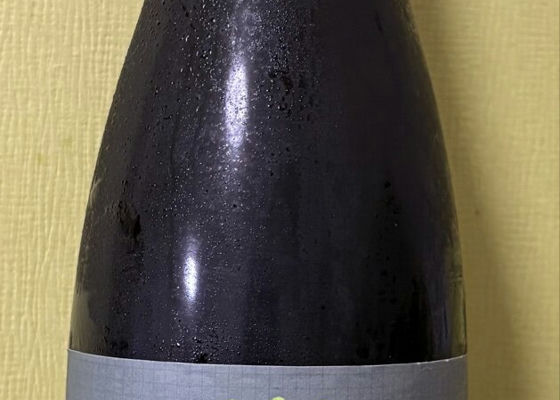 alt 1