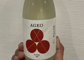 AGEO チェックイン 1