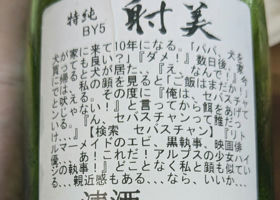 alt 2