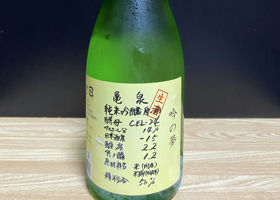 alt 1