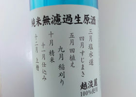 alt 3