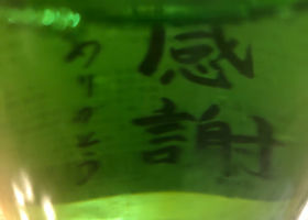alt 3