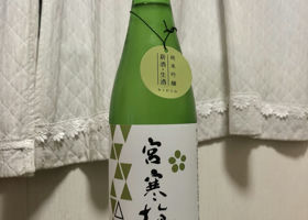 alt 1