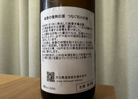 alt 3