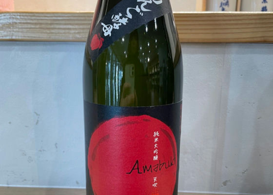 alt 1