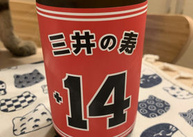 alt 1