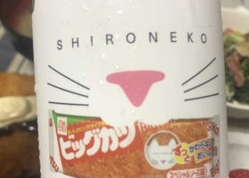 alt 3