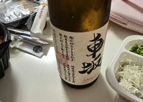 alt 3