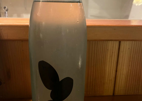 alt 1