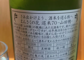 alt 2