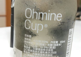Ohmine Cup Check-in 2