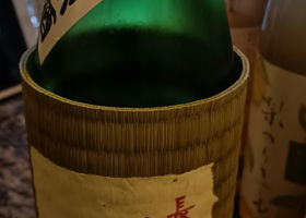 alt 1