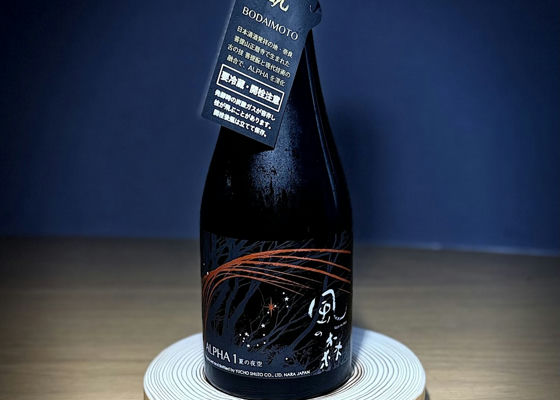 alt 1